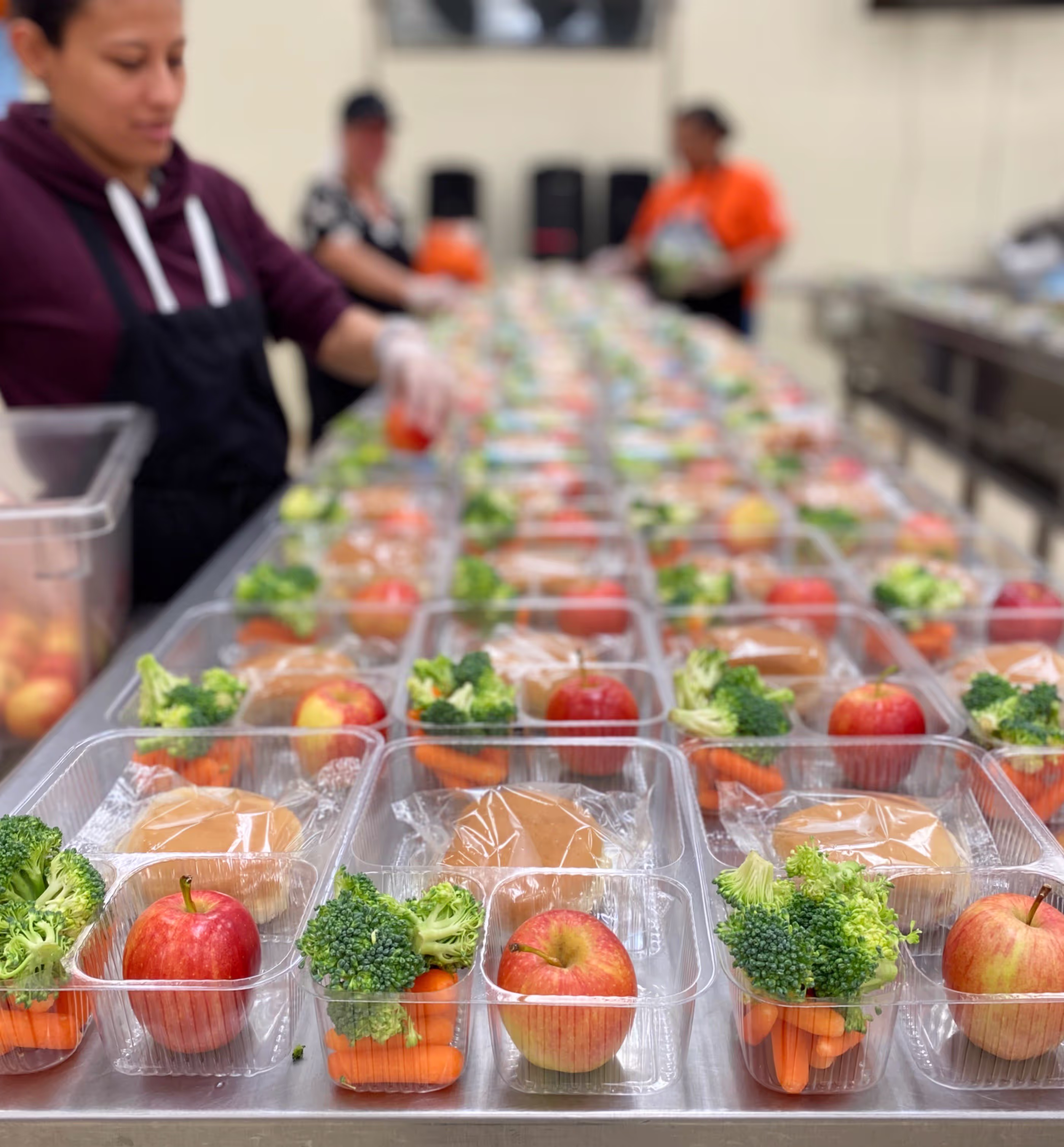 Packed school lunches